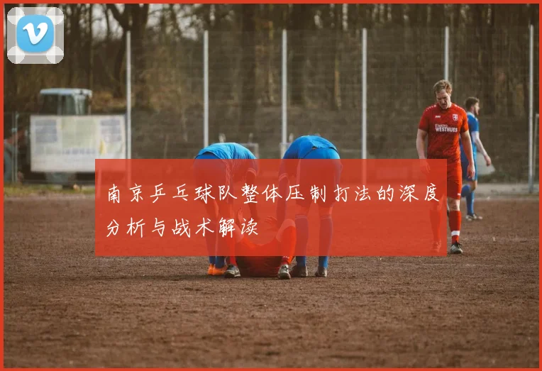 南京乒乓球队整体压制打法的深度分析与战术解读