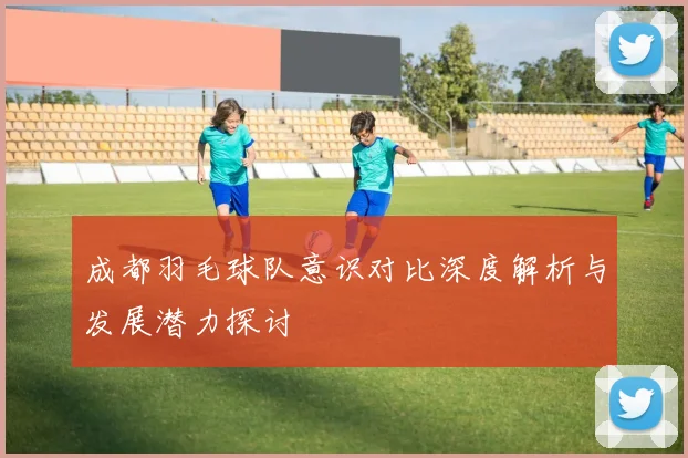 成都羽毛球队意识对比深度解析与发展潜力探讨