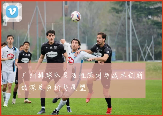 广州排球队灵活性探讨与战术创新的深度分析与展望
