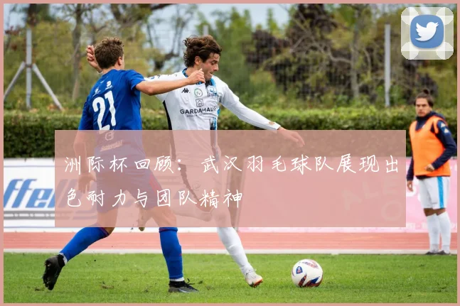 洲际杯回顾：武汉羽毛球队展现出色耐力与团队精神