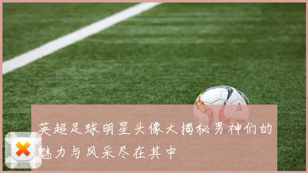 英超足球明星头像大揭秘男神们的魅力与风采尽在其中