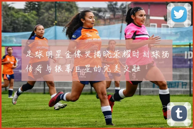 足球明星金像奖揭晓荣耀时刻球场传奇与银幕巨星的完美交融