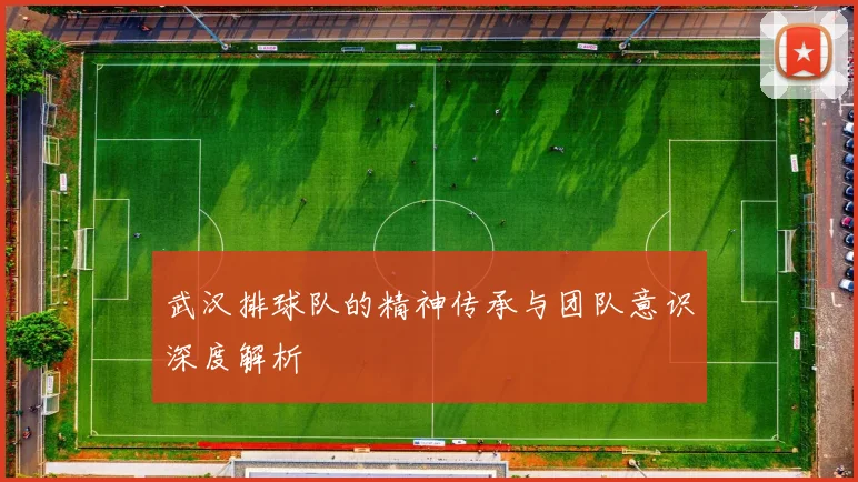 武汉排球队的精神传承与团队意识深度解析