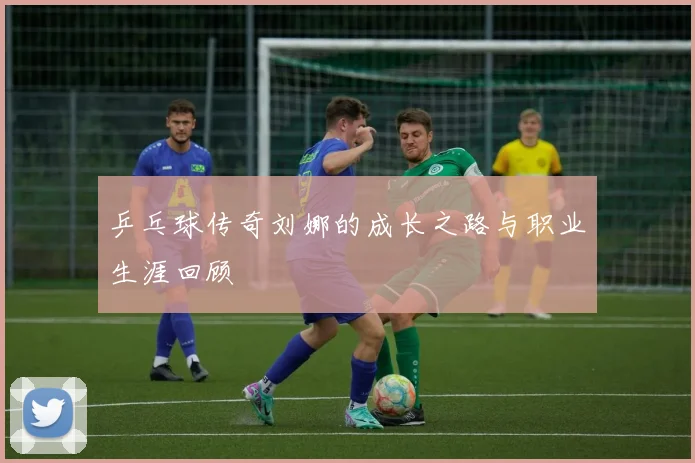 乒乓球传奇刘娜的成长之路与职业生涯回顾