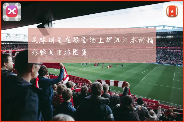 足球明星在绿茵场上挥洒汗水的精彩瞬间定格图集
