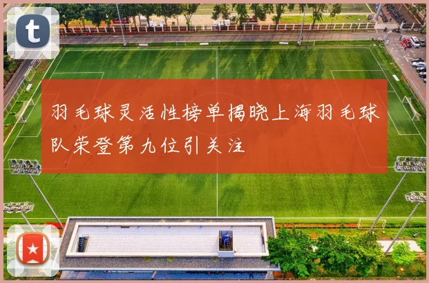 羽毛球灵活性榜单揭晓上海羽毛球队荣登第九位引关注