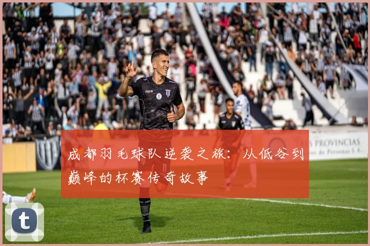 成都羽毛球队逆袭之旅：从低谷到巅峰的杯赛传奇故事