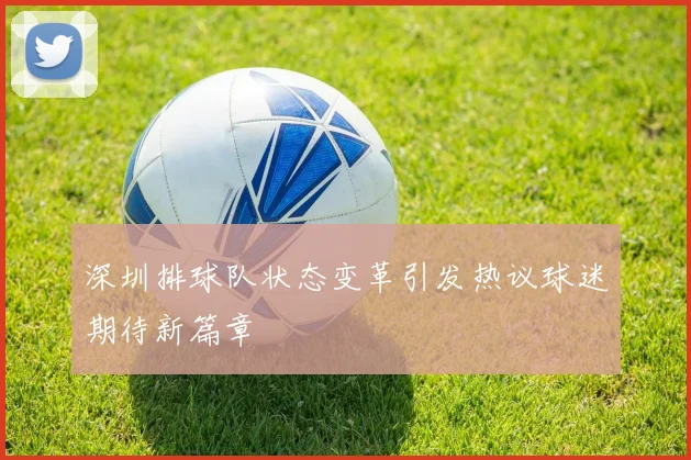 深圳排球队状态变革引发热议球迷期待新篇章