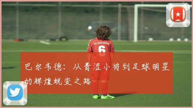 巴尔韦德：从青涩小将到足球明星的辉煌蜕变之路