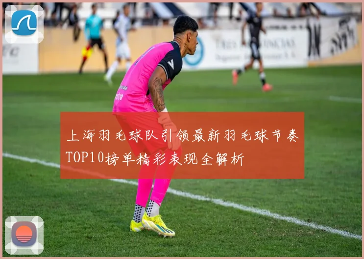 上海羽毛球队引领最新羽毛球节奏TOP10榜单精彩表现全解析