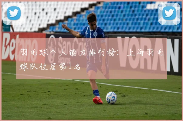 羽毛球个人能力排行榜：上海羽毛球队位居第1名