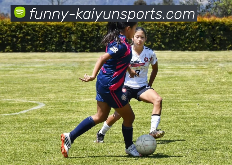 开云首页平台生态图